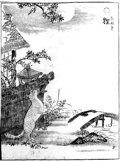 化狸:鸟山石燕《画図百鬼夜行》「狸」