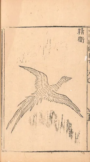精卫:胡文焕 编刻《新刻山海经图》「精衛」
