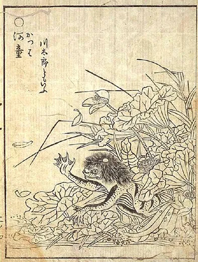 河童:鸟山石燕《画図百鬼夜行》「河童」