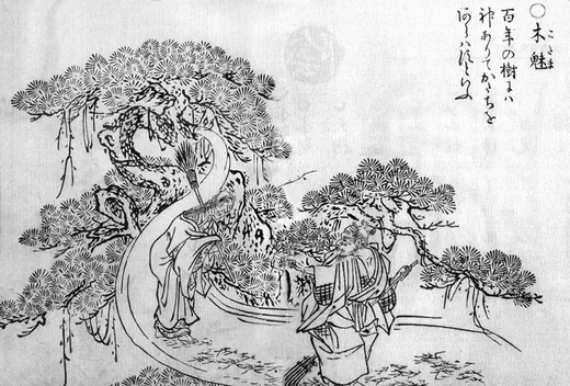 木灵:鸟山石燕《画図百鬼夜行》「木魅」