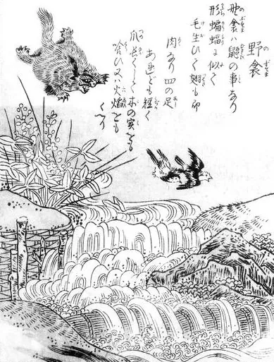 野衾:鸟山石燕《今昔画图续百鬼》「野衾」