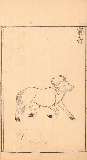 穷奇:胡文焕 编刻《新刻山海经图》「窮奇」