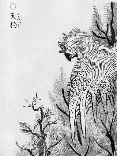天狗:鸟山石燕《画図百鬼夜行》「天狗」