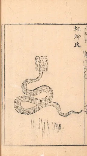 相柳:胡文焕 编刻《新刻山海经图》「相柳氏」
